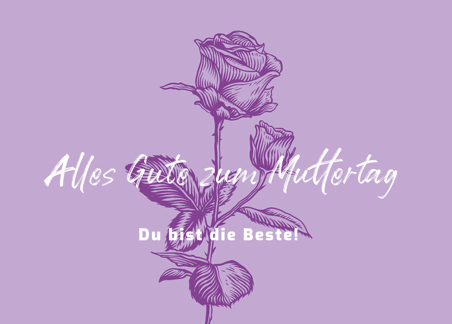 Postkarten Set Sprüche